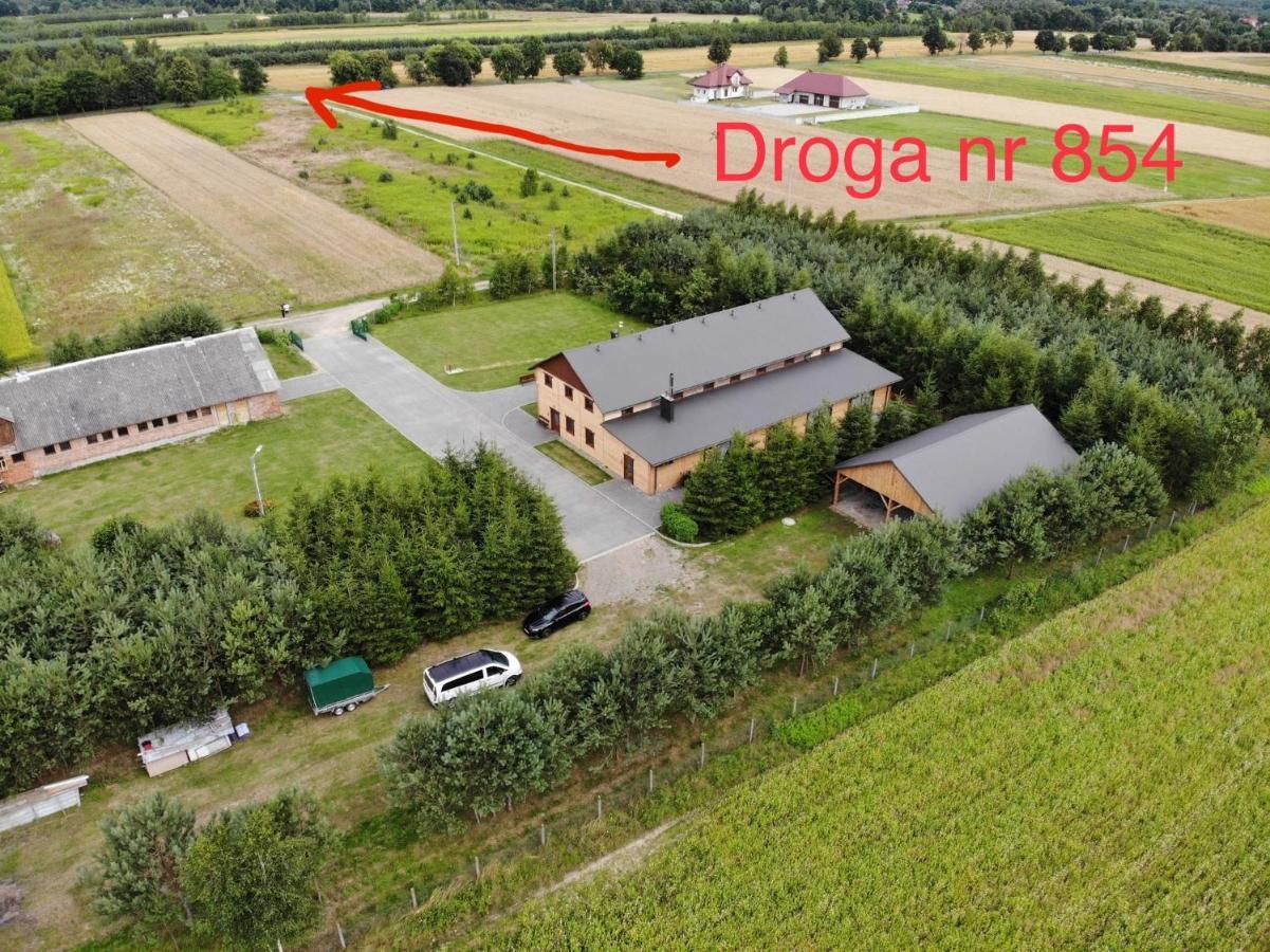 Arka Agroturyska Villa Kosin Buitenkant foto